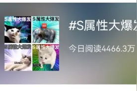 惊！S属性大爆发？图片