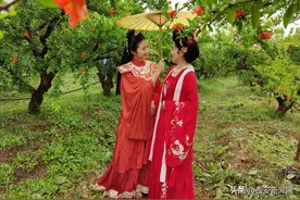 榴花似火 看·见临潼 第七届临潼区石榴花节开幕图片