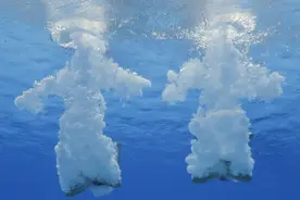 如果从飞机上跳下，自由落体掉入水中，幸存几率有多少？图片