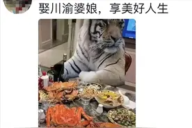 娶川渝老婆享幸福人生！网友：劳资蜀道山！图片