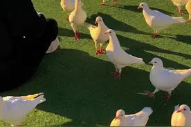 【文案】五一旅游文案图片