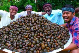 福寿螺造成我国损失3个亿，为何却在印度成了香饽饽？还被当饭吃图片