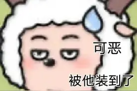 表情包：可恶，被他装到了图片