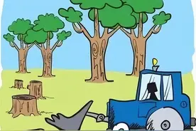 植树节 | 植绿护绿人人有责，滥伐林木要不得图片