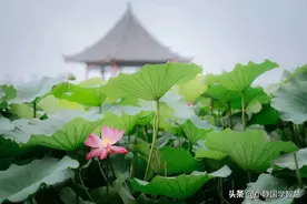 一切都有因果，谁都逃不了因果图片