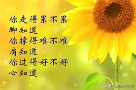 往事不回头，余生不将就图片