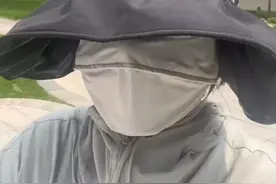 女子被同一只鸟连续攻击半个月！不管换什么衣服都被认出！图片