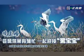 下载“央视新闻”和“央视频”APP，关注乌审慢直播！图片