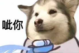 搞笑狗狗表情包·第五弹图片