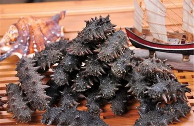 什么样的海参好 2026年什么样的海参好吃又有营养价值
