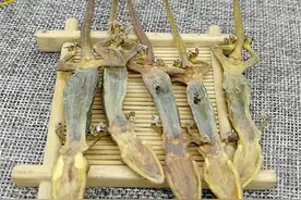 壁虎趣事，听起来很雅致的中药，你知道壁虎在中药里叫什么吗？图片