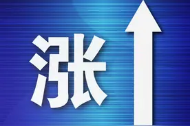 大连海参价格今冬预计将上涨20%图片