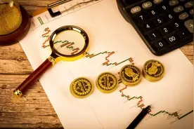 浅析我国永辉超市的内部结构及运行情况图片