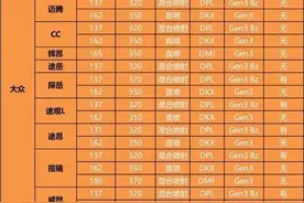 看看哪些大众、奥迪车带颗粒捕捉器GPF图片