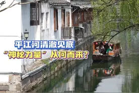 平江河清澈见底 “神秘力量”从何而来图片