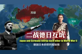 二战德国和日本的“塑料姐妹情”：互为盟友，却互损互害图片