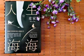 《人生海海》：人生黑暗时的一束光图片