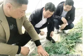 基层人物 丨 江苏淮安：一位村支书和他的100多位“穷亲戚”图片