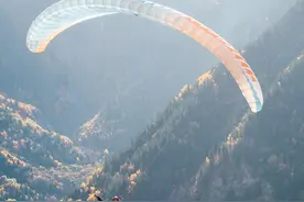 骑只萨摩在天上飞？当萨摩耶也玩起滑翔伞，简直就像空中白龙马图片