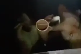 村庄主要饮用水源发现10余头死猪，当地回应：是否为病猪还在调查中，已派车给村民送水图片