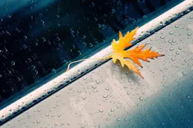 镜中花，水中月，杯中酒，梦中人图片