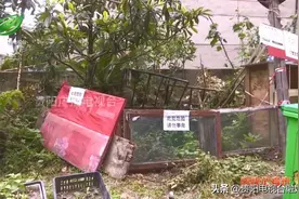 问政记者来帮忙 | 小区惊现大坑，检查发现是化粪池，物管：再次对警戒围栏加固图片