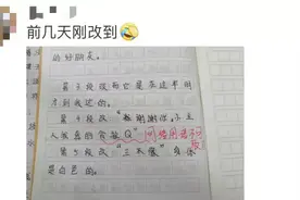 网络语言进作文引发热议，老师：不必过度紧张图片