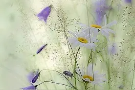 散文：人生悲喜自渡，随缘而行图片