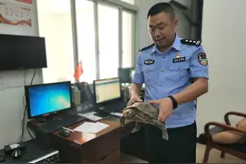 视频 | 重庆男子偶遇乌龟赶紧交给警察 经鉴定竟是一级保护动物图片