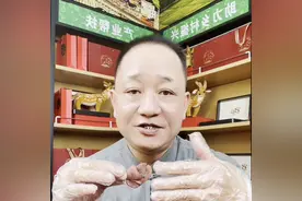 鹿茸应该怎么吃？#鹿茸片图片