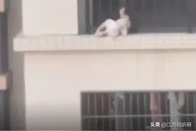 邻居徒手爬8楼外救被卡小宝宝：孩子头卡护栏，身体悬空不停挣扎图片