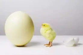 向内求才是成功的关键图片