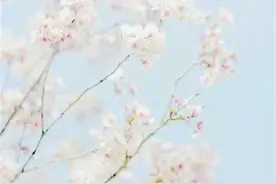 精致，是一种习惯图片