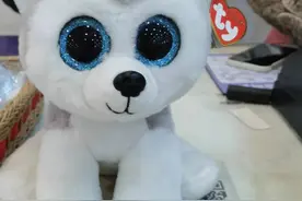 豪爵afr125三百公里感受图片