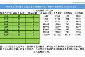 2023年度山东城乡居民养老保险缴费档次，补贴标准，待遇领取标准图片