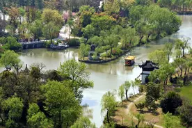 同为洋河经典，海之蓝，梦之蓝，天之蓝有什么区别，建议搞懂再喝图片