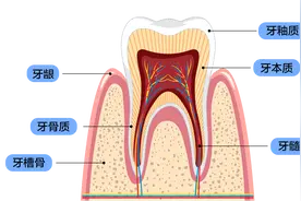 牙齿美白，是智商税吗？图片