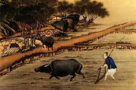 蓟州方言土词N部（五） 老百姓的话就这么说图片