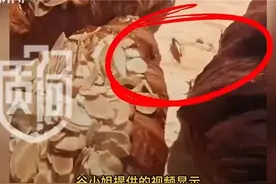 网红面包店现蟑螂，消费者维权却要“先删视频”？店家：发布整改公示图片