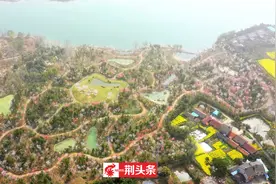 美爆了！荆州又添一座森林公园图片