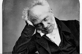 哲学家叔本华：人生无意义，欲望即全部图片