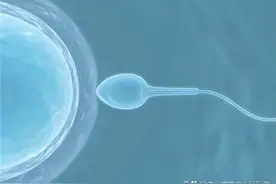 多地倡议“捐精”，但合格率仅20%？专家教你提高精子质量图片