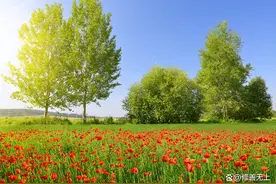 人活一口气，古人的“养气六诀”，你学会了吗？图片