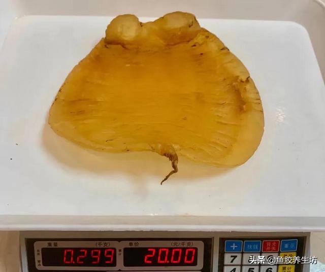 四大赤嘴鱼胶排名 赤嘴鱼胶产地哪里?最好