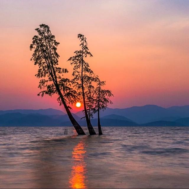 春天就要来大理Color Walk