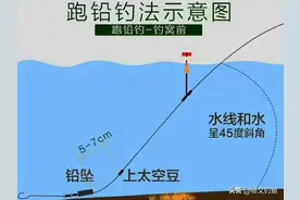 跑铅钓法看似简单，这三个细节没做到位鱼获一样好不了图片