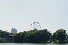 企业年金怎么领取划算图片