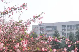 这5所“学院”将要更名为“大学”，发展速度快，适合学生捡漏图片