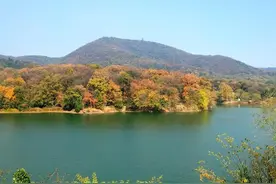 老山之于南京～～一座似乎被人遗忘的山图片