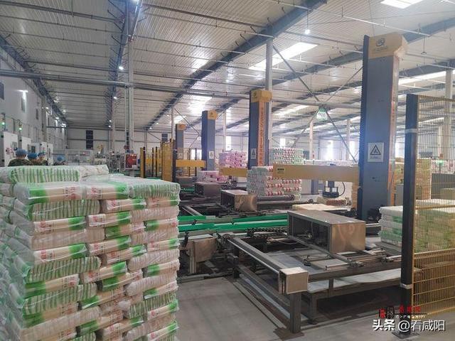 走进武功县金沙河超大型粮食综合加工基地|金沙河：小麦粒大能量 “变形”变出高质量